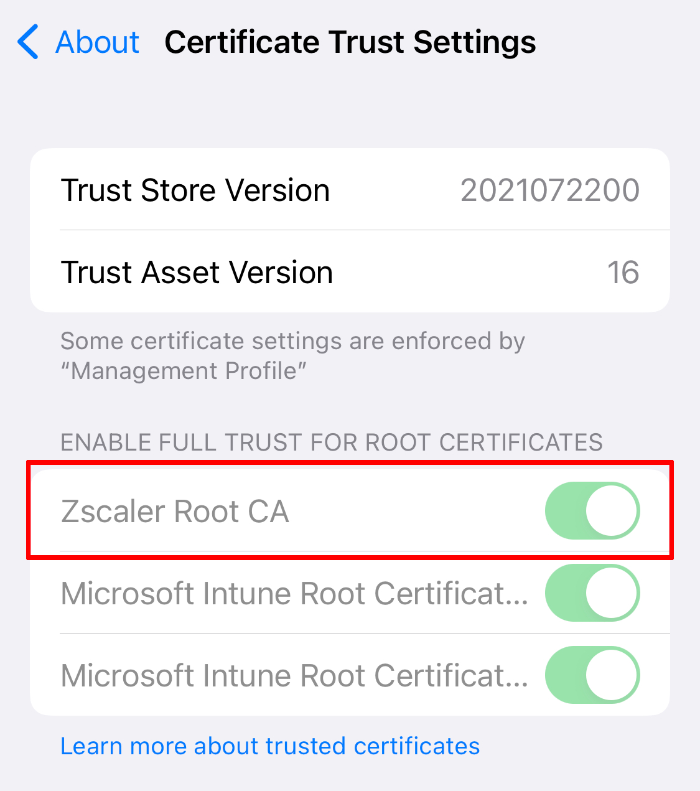 /2022/deploy-zscaler-to-ios/ios-certificate-trust.png#center